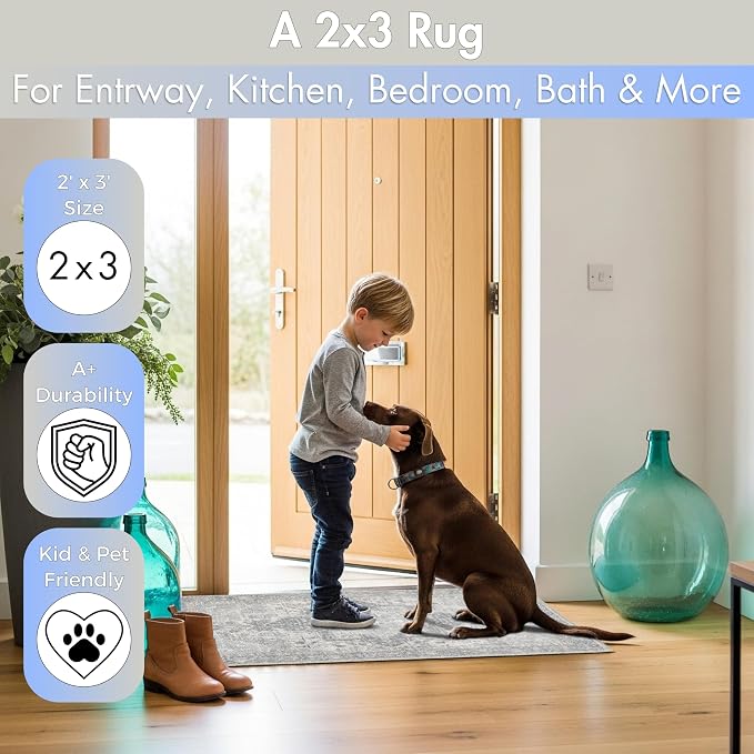 Sacred Artisans Vintage 2x3 Rug for Entryway, Kitchen, Bathroom and Indoor Entrance | Washable, Non Slip, Pet Friendly and Low Pile (Sierra, 2' x 3')