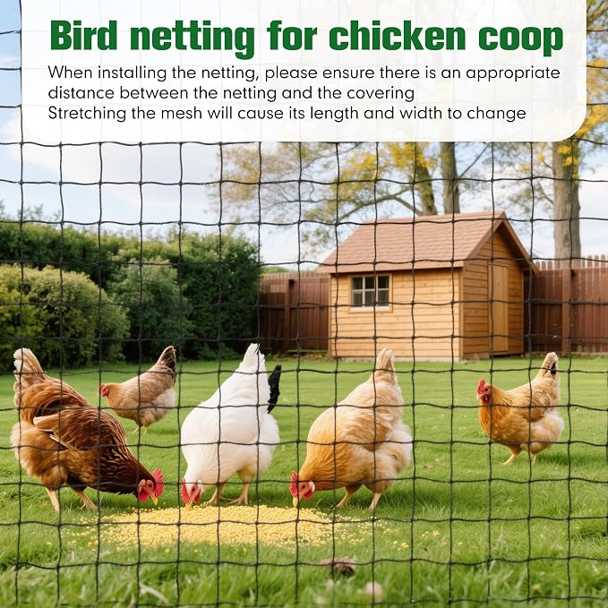50 x 100 ft Bird Netting for Chicken coop 2.4" Mesh Poultry Netting, Protects Garden, Fruit Trees & Poultry from Birds & Small Animals