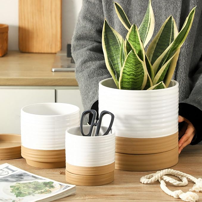 HASENSE Planters for Indoor Plants, 8+6+4.6 Inch Ceramic Plant Pots Indoors with Drainage Hole and Tray, Dual Contrast Glaze Flower Planters for Herb Snake Succulent, Set of 3, White