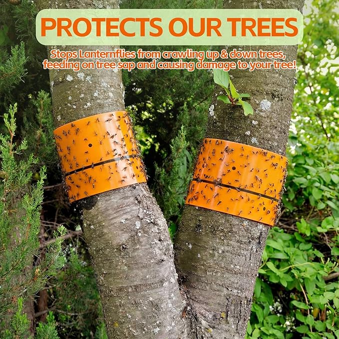12 Rolls Spotted Lantern Fly Tree Trap 30 Feet Each Roll Lanternfly Tree Outdoor Fruit Fly Sticky Strips Paper Insect Sticky Barrier Trunk Wraps to Protect Plant, Lawn, Garden(Orange)