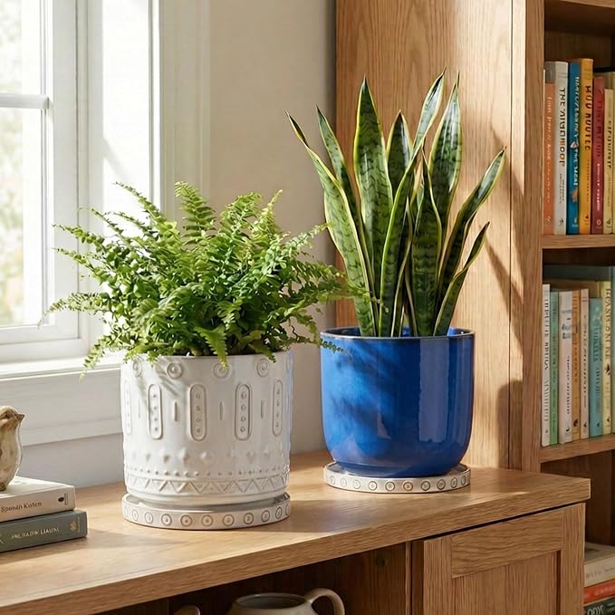 Eightpot 2 Pack Ceramic Plant Saucer, 7.5 Inch Plant Trays for Pots, Round Plant Plates to Catch Water for Indoor Outdoor, Modern Plant Dishes to Catch Water, Decorative Flower Pot Trays, Cream White