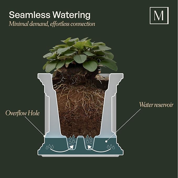 Mayne Fairfield 2ft Window Box, Self Watering Flower Box with Double Wall Design, All Season Fade Resistant Outdoor Window Planter with Steel Mounting Bracket, Espresso