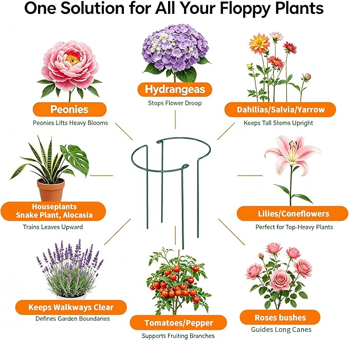 AMAGABELI 6 Pack 16 Inch Plant Support Stakes Peony Cage Heavy Duty Ring Metal Garden Support Structures Plant Cage with Ties for Indoor Flower Outdoor Tomato Hydrangea Monstera