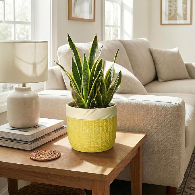 8 Inch Pots for Plants - Ceramic Planter for Indoor Plants, Round Flower Pots with Drainage Hole and Plug, Boho Decorative Plant Pot, Home Room Decor, House Warming Gifts New Home, Yellow
