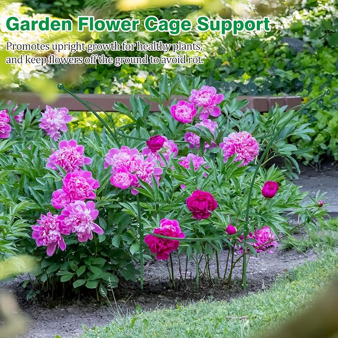 6 Pack Peony Cages and Supports Cages 13" D x 22.8" H Heavy Duty Metal Support Frame for Peonies & Roses Natural Bouquet Shape Garden Stakes for Outdoor Plants Flowers Ornamental (Green)