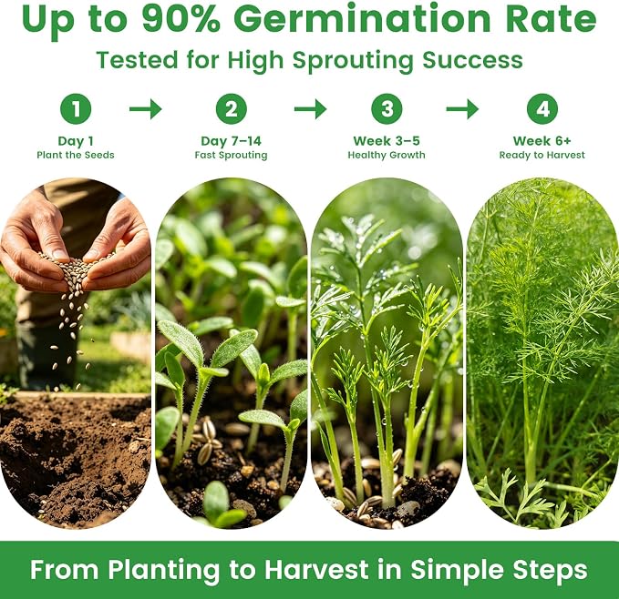35 Medicinal Tea Herb Seeds Variety Pack with Planting Tools, Herbal Tea Garden Starter Kit for Beginners, Indoor Outdoor Gardening Gift Set, House Warming Gifts New Home for Women Men Mom Dad