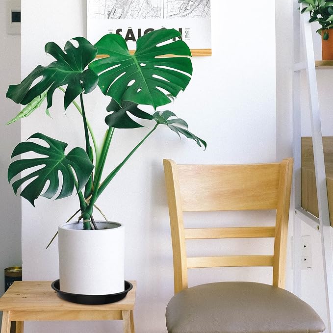 OUPSAUI 5 Pack 4 10 12 14 16 18 20 22 Inch Plant Saucer, Plant Trays for Pots, Large Plastic Plant Saucers for Indoors, No Holes Planter Drip Tray (12 inch)