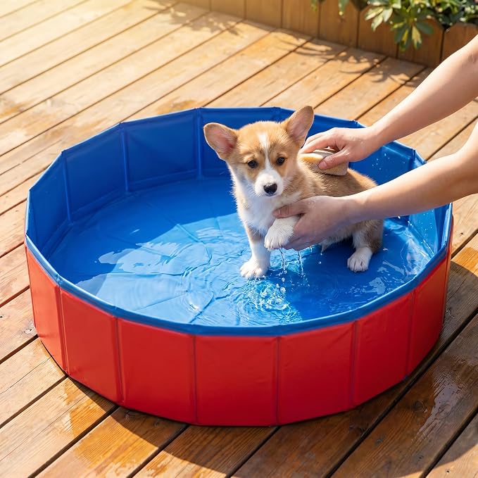 Foldable Dog Pool, 12 x 4 Inch Collapsible Pet Tub | Portable Hard Plastic Shell Wading Pool for Small Dogs, Cats, Puppies, Indoor Outdoor Bathing, Cooling & Easy Storage