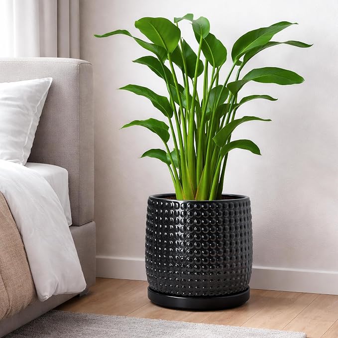 D'vine Dev 10 Inch Ceramic Beaded Stoneware Planter Pot - Flower Pot with Drainage Holes and Saucers for Indoor Succulent Plants or Flowers, Glossy Black, 27-C-P-2
