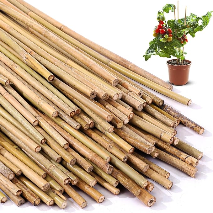 Suclain 60 Pcs Bamboo Plant Stakes Natural Garden Support Sticks for Climbing Plants Sturdy Bamboo Garden Stakes for Tomato, Beans, Flowers and Potted Plants, Vegetables, Indoor & Outdoor (2 ft)