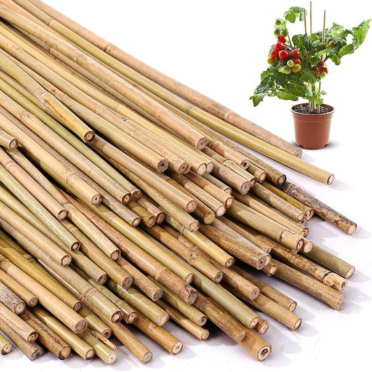 Suclain 60 Pcs Bamboo Plant Stakes Natural Garden Support Sticks for Climbing Plants Sturdy Bamboo Garden Stakes for Tomato, Beans, Flowers and Potted Plants, Vegetables, Indoor & Outdoor (2 ft)