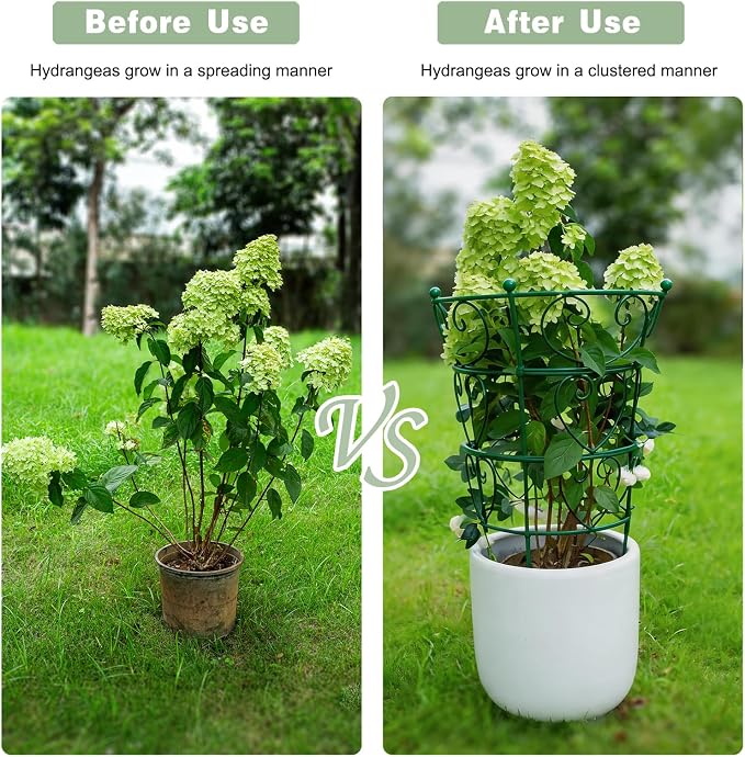 24.6" Peony Support Heavy Duty Garden Cage for Peonies, Dahlias & Hydrangeas - Durable Metal Plant Support for Outdoor Garden Flowers & Landscape Decoration | Easy Installation for Gardeners