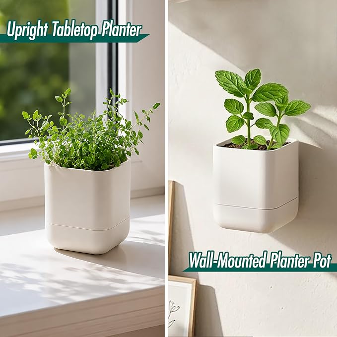Phoenix Vine 3.5 Inch Wall Mounted Self-Watering Planter Pot for Indoor Houseplants and Herbs | Hanging Planter for Window Sills, Bathroom Walls, Home & Office Décor, Oatmeal, Set of 2, 01-A-G-2