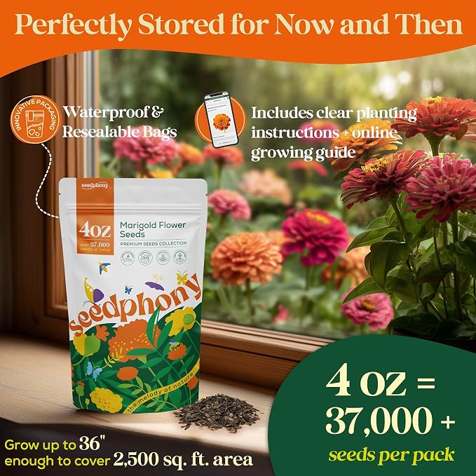 Seedphony Marigold Seeds Pack 4 oz - 37,000 Non-GMO Heirloom Marigold Seeds for Planting, Perennial Flowers in Waterproof Seed Packet, Wildflower Seeds for Planting Garden Indoor & Outdoor Gardening