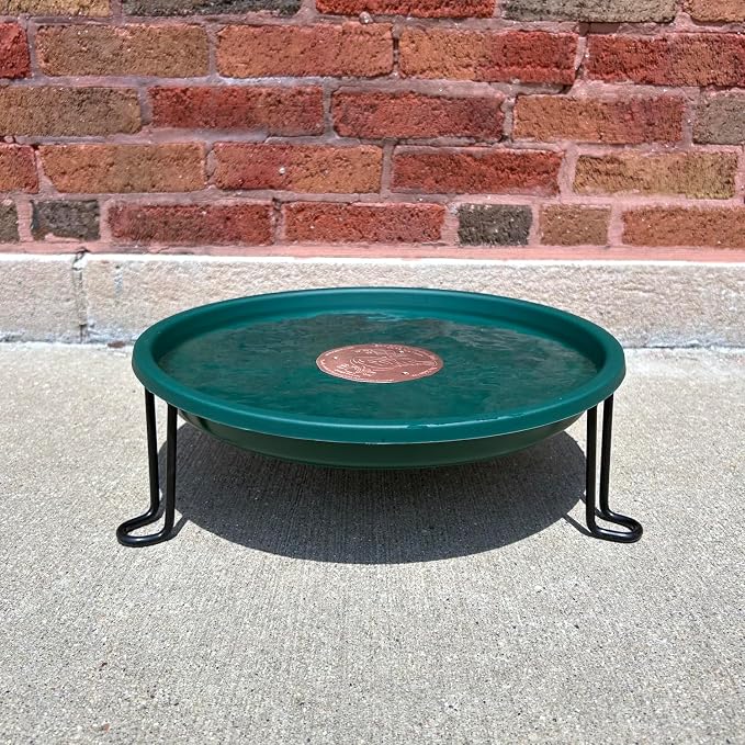 Ground Level Bird Bath - Floor Standing Bird Bath for Patio, Garden, or Deck - Black Steel Wire with Green Dish - Made in USA - Erva BA5SL