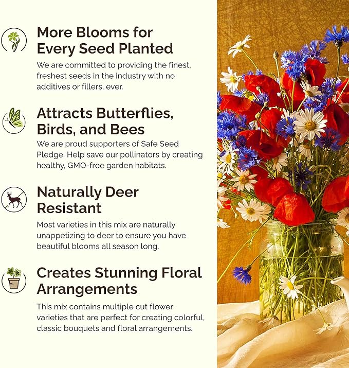 Eden Brothers Northeast Wildflower Mixed Seeds for Planting, 1/4 lb, 120,000+ Seeds with Cosmos, Candytuft, Shasta Daisy | Attracts Pollinators, Plant in Spring or Fall, Zones 3, 4, 5, 6, 7, 8, 9, 10