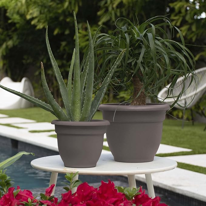 Bloem Ariana 6" Self-Watering Plastic Planter - Rolled Rim Indoor/Outdoor Garden Pot, Peppercorn