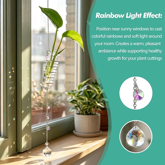 6Pcs Hanging Plant Propagation Station with Crystal Ball Prisms Suncatcher | Window Hanging Propagation Station and Cleaning Brush, Glass Plant Suncatcher for Indoor Wall Gifts for Plants Lovers(Silver)