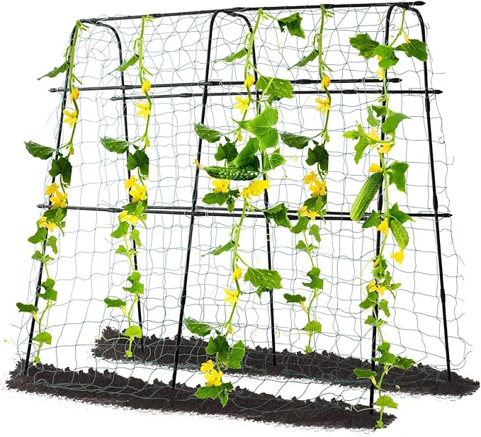 Cucumber Trellis for Raised Bed, 63" Hx 63" L Garden Arch Trellis for Climbing Plants Outdoor, Rustproof Metal Climbing Plant Support Vegetables Snap Pea Pole Bean Fruits Vine Trellis, Black