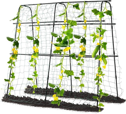Cucumber Trellis for Raised Bed, 63" Hx 63" L Garden Arch Trellis for Climbing Plants Outdoor, Rustproof Metal Climbing Plant Support Vegetables Snap Pea Pole Bean Fruits Vine Trellis, Black