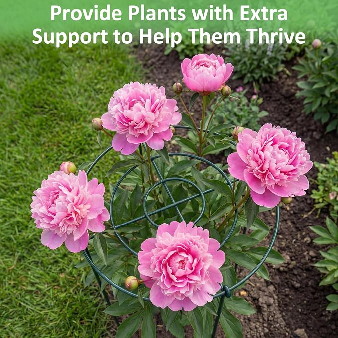 Pelopy Large Peony Cages and Supports 23.6"H x 15.7"D Heavy Duty Plant Support for Outdoor Plants, Meatl Peony Rings, Flower Support Stakes, Garden Stakes for Rose Tomato Hydrangea Strawberry(4 Pack)