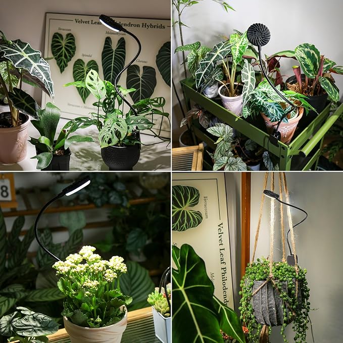 2 Pack 12W Each Black Clip-On Grow Lights for Indoor Plants, Pot Clip Plant Lights with Flexible Gooseneck, 4000K Full Spectrum, 3/6/12H Timer, 4 Dimmable Levels