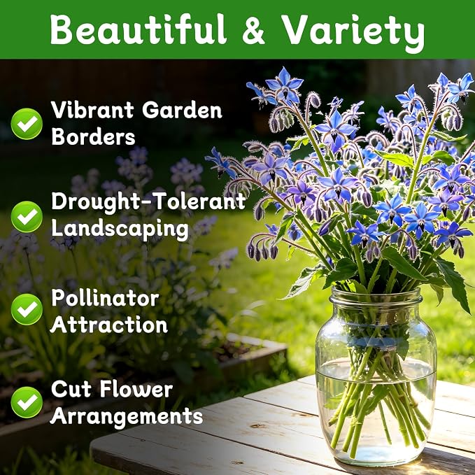 LUOJIBIE Borage Seeds, 4,000+ Blue Borage Seeds for Planting Outdoor & Indoor, Flower Seeds Bulk for Garden, Non-GMO & Heirloom, Easy to Grow