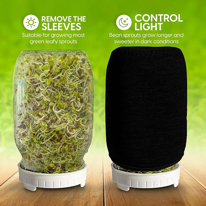 Sprouting Jar Kit - 2 Wide-Mouth Mason Jars with Stand and Sprout Lids | Green onion regrower, sprout lids and drain tray for growing broccoli, alfalfa and mung bean sprouts