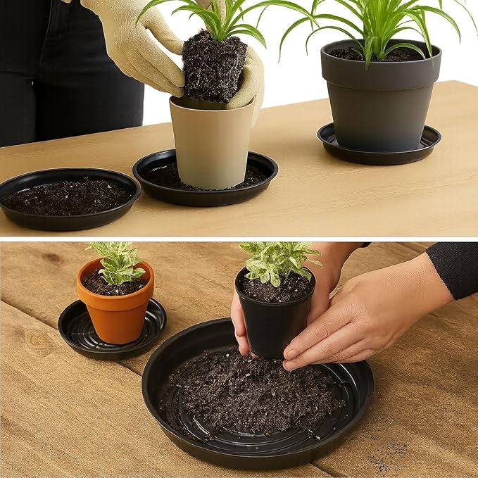 50 Packs 4 Inches Small Plant Saucers for Indoor Outdoor Use Heavy Duty Plastic Plant Plate Dish for Planter Bulk Round Flower Pot Drip Trays to Catch Water 4 to 20 Inch, Black
