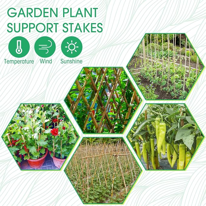 Suclain 30 Pcs Bamboo Plant Stakes Natural Garden Support Sticks for Climbing Plants Sturdy Bamboo Garden Stakes for Tomato, Beans, Flowers and Potted Plants, Vegetables, Indoor & Outdoor (1.35 ft)