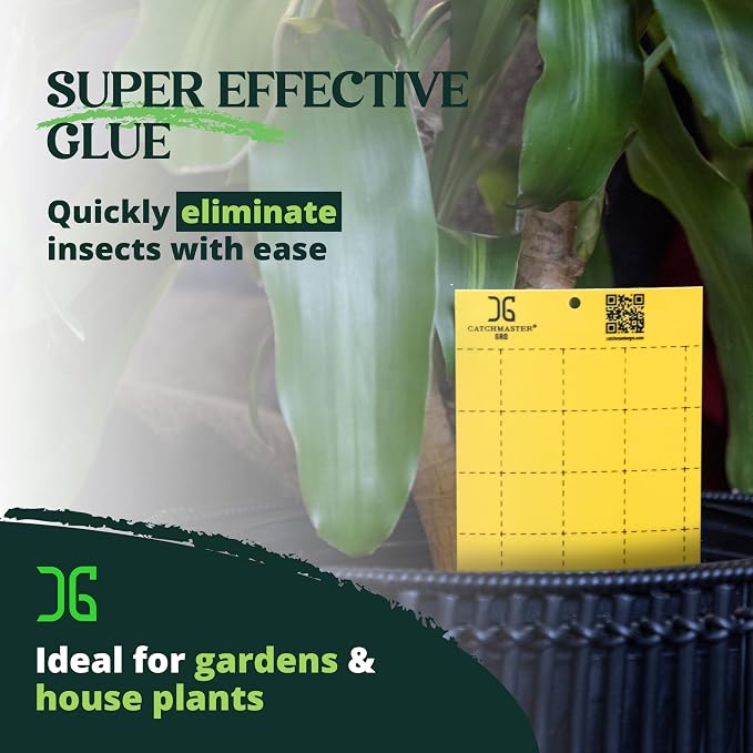 Catchmaster GRO Yellow Large Double Sided Sticky Traps 50PK, Adhesive Bug & Fruit Fly Trap, Pest Control for Home, Farm, Garden, Hydroponics & Greenhouse, Protect Live Plants Indoor & Outdoor