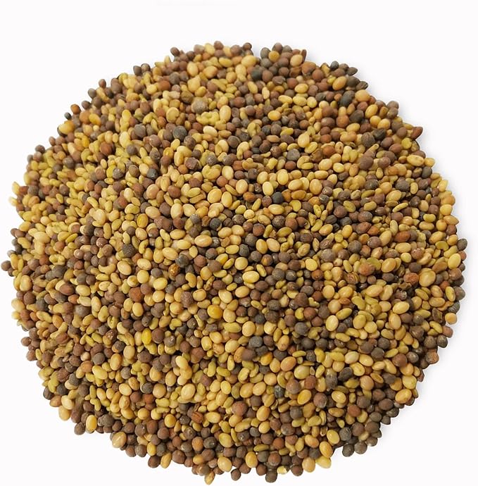 Food to Live Organic Antioxidant Mix of Sprouting Seeds, 3 Pounds - Non-GMO Broccoli, Alfalfa, and Clover Seeds, High Germination Rate, Kosher, Vegan, Bulk, Rich in Sulforaphane