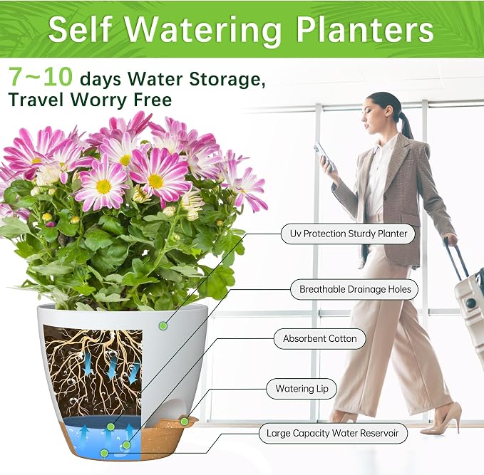 8/7/6.5/6/5.5/5 Inch Self Watering Pots for Indoor Outdoor Plants, Set of 6 Large Plastic Planters with Visual Water Window, Drainage Holes & Watering Lip, Modern Decorative Flower Pots (White)