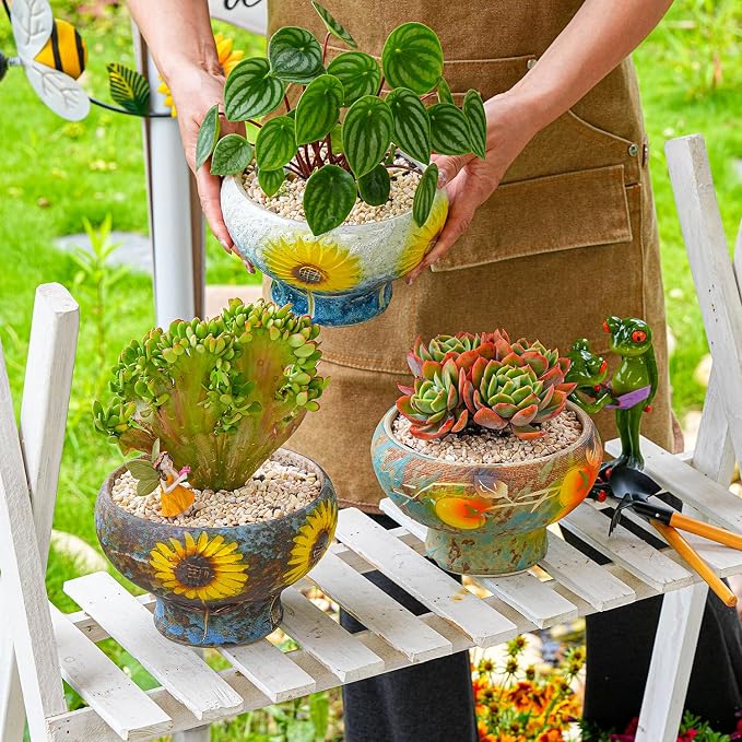 Sungmor Small Succulent Planters Set of 2, Beautiful Hand Crafted Ceramic Plant Pots Cute Cactus Pot, 6.5 Inch Flower Pots for Indoor Plants with Drainage, Desktop Windowsill Home Office Decor Pots
