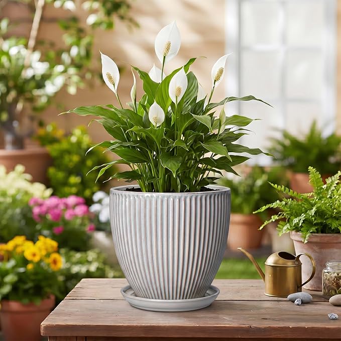 6 Inch Pots for Plants, Ceramic Plant Pots for Indoor Snake Plants, Round Succulent Planter with Drainage Hole and Saucer, Modern Decorative Flower Pot, Bathroom Decor, Gardening Gifts, Grey