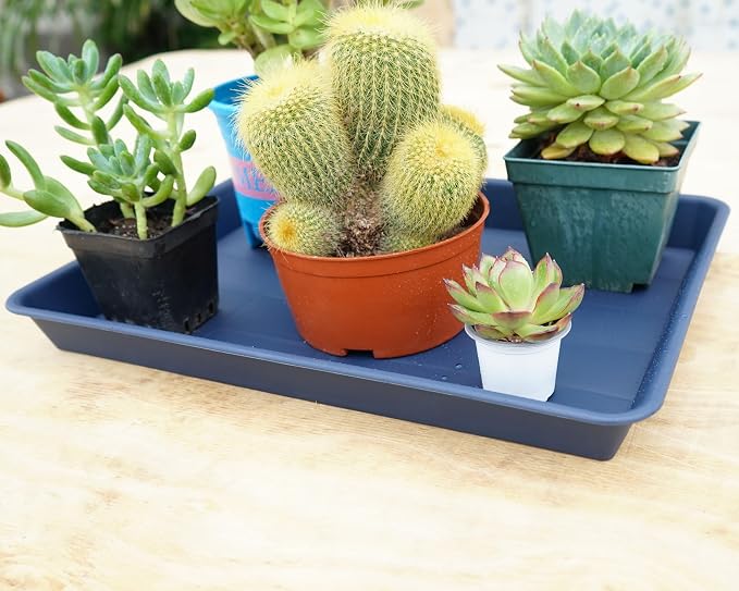 VUWEZ 2 Pack Plant Growing Nursery 1020 Trays, Plant Saucer Tray, Heavy Sturdy Seed Starting Trays, Plant Starter Trays for Indoors No Holes, Seed Starter Growing Tray (22"x11.2", Blue)