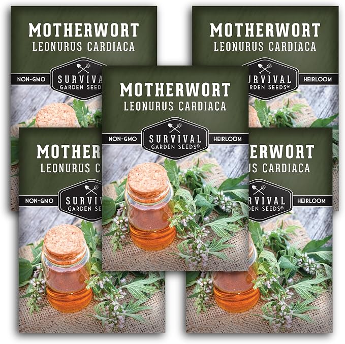 Motherwort Seeds for Planting - Leonurus Cardiaca - Heirloom Medicinal Herb for Apothecary Gardens and Pollinator Support - Survival Garden Seeds (5 Packs)