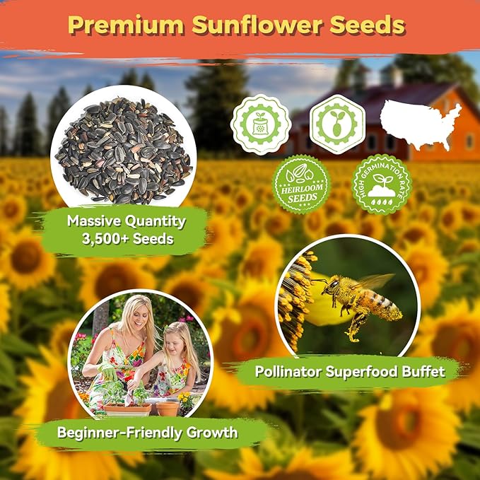 Sunflower Seeds for Planting | 3000+ Giant Mammoth Heirloom Bulk Seeds in 2oz Packet | High Germination, Open Pollinated, Attracts Pollinators for Home & Outdoor Gardens