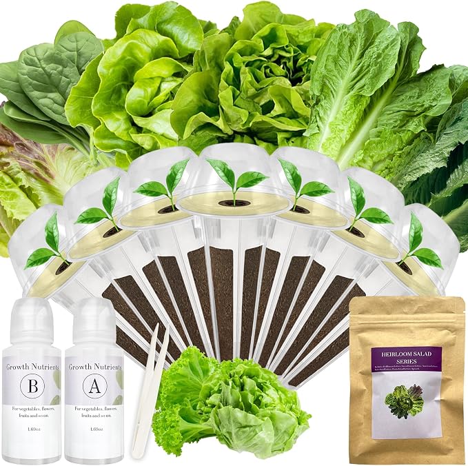 Salad Greens Seed Pod Kit for AeroGarden, iDoo with Red and Green Romaine Lettuce, American Fast/Buttercrunch/Parris Island Lettuce, and Spinach - Compatible with All Hydroponics (7-Pod)