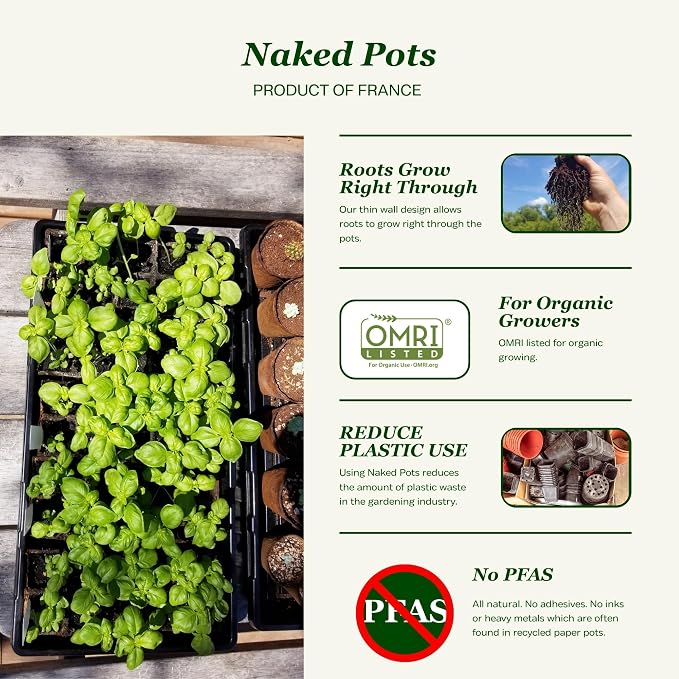 Daniel's Plants 2" Naked Pots Seedling Trays | Natural Plantable Seed Starter Trays | OMRI-Listed Biodegradable | Earth Friendly Contains No Peat | 100 Cell 2 Inch Tray (100, 2 Inch Tray)