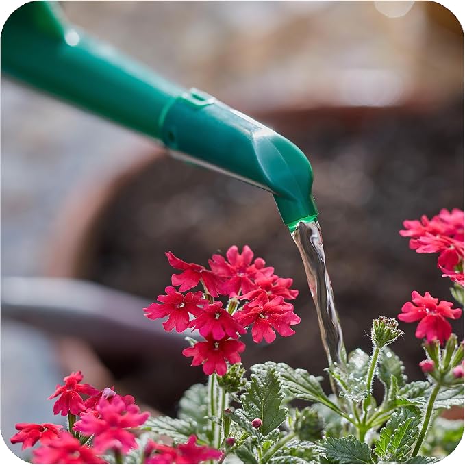 Consolidated Plastics Durable Swiss Watering Can with UV Protection, Ergonomic Handle for Indoor/Outdoor Gardening, Made in Switzerland (4 Liter, Green)