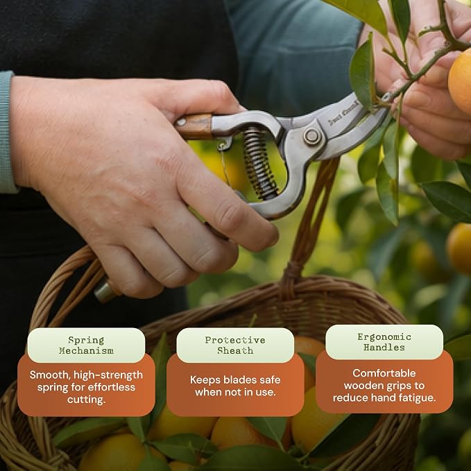 Garden Pruning Kit – Bypass Pruner and Precision Snips Set for Gardening, Plant Care, Indoor & Outdoor Plants, Rose Pruning, Garden Shears, Plant Trimming, and Floral Scissors