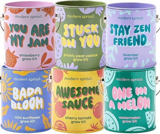 Modern Sprout Complimentary Color Grow Kits (Pack of 6) - Seed Starter Kit - Includes Strawberry, Sunflower, Cactus, Tomato, Melon & Lavender Seeds - Gardening Gifts that Grows with Love