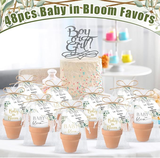 Reallnaive Baby Shower Party Favors Baby in Bloom Envelopes Seed Packets Include 48 Mini Terracotta Pots Seed Packets 48 Self Adhesive Envelopes Thank You Tags for Party(Greenery)
