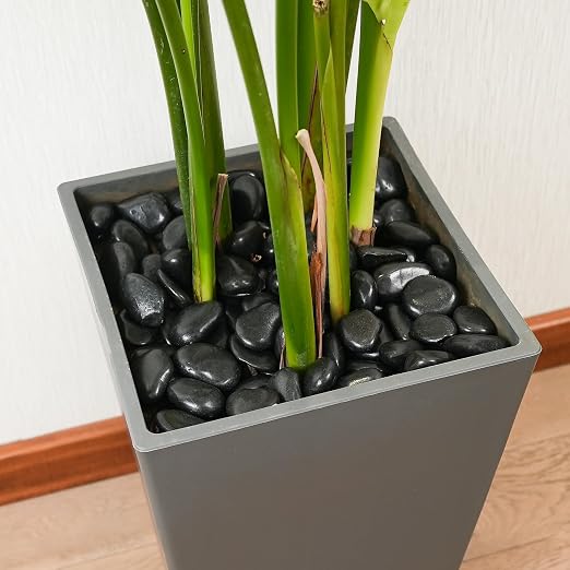 StoneCreek 36 LBS River Rocks(3 x 12 LBS Bags), Large Size, Decorative Garden Stones for Plant Landscaping, Polished Gravel Filler Pebbles for Home Decoration, Vases, Succulents(Black Pebbles)