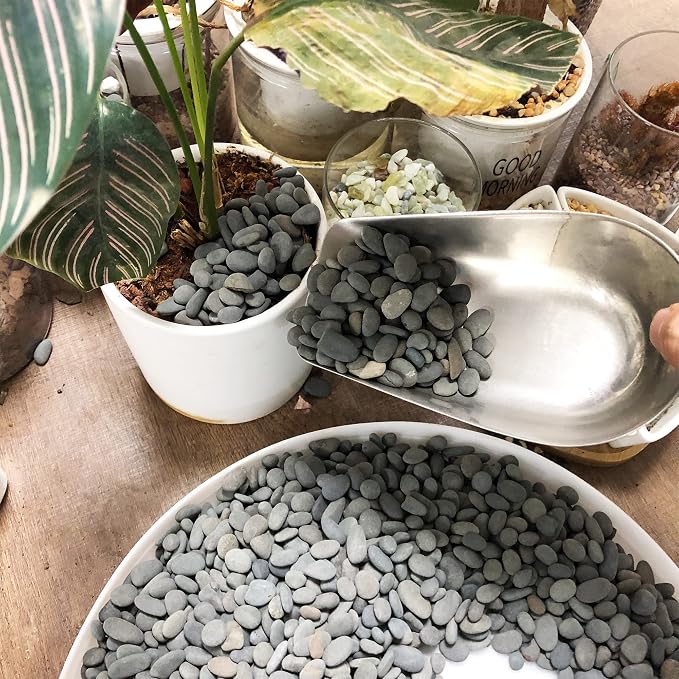 Black Rock, CJGQ 18lb River Rocks Pebbles for Plants Succulents, Decorative Outdoor Landscaping Garden Rocks, Natural Small Mexican Beach Pebbles Aquarium Rocks Gravel for Fish Tanks Vase Yard Decor