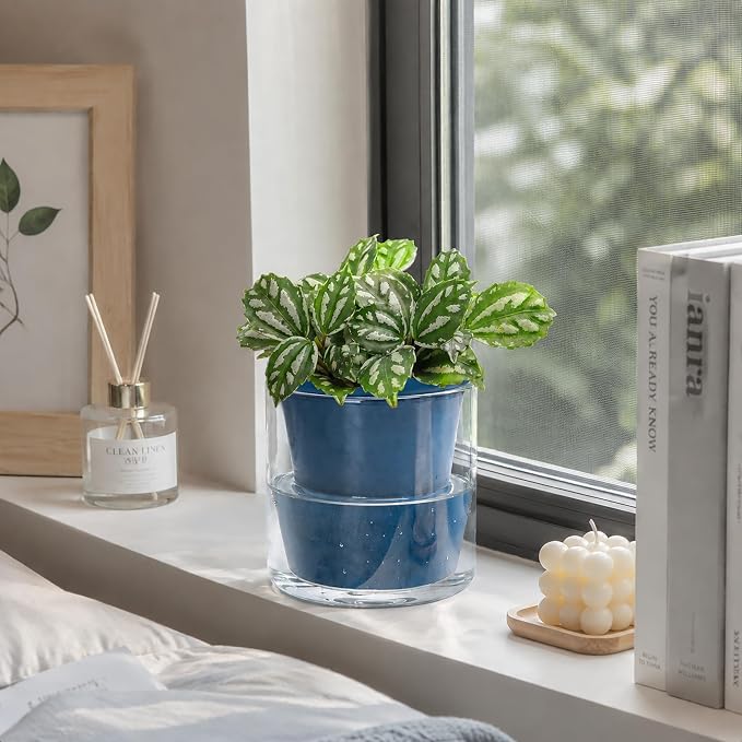 D'vine Dev 4 Inch Design Self Watering Planter for Indoor Plants, Blue Terracotta Pot with Cylinder Glass Cup, Set of 4, 37-Z-A-4-F