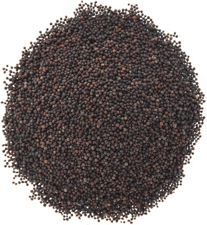 Broccoli Seeds for Sprouting & Microgreens | Waltham 29 Variety | Non GMO & Heirloom Seeds | Bulk 1 LB (16 oz) Resealable Bag | Rainbow Heirloom Seed Co.