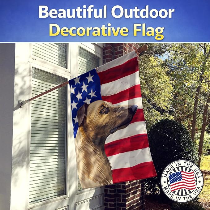 Caroline's Treasures CK6609CHF Magyar agar American Flag House Flag Large Porch Sleeve Pole Decorative Outside Yard Banner Artwork Wall Hanging, Polyester, House Size, Multicolor
