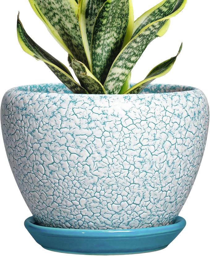 Ceramic Plant Pot, 6 Inch, Crackle Blue | Indoor Planters for Succulent Plants, Round Decorative Flower Pot, Drainage Hole and Saucer, Room Decor, Gifts for Gardeners